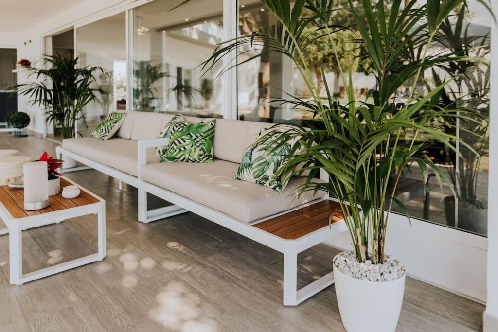 Malibu Ocean Villa 산타크루스데 테네리페 외부 사진